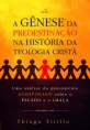 A Gênese da Predestinação na História da Teologia Cristã: uma análise do pensamento agostiniano sobre o pecado e a graça